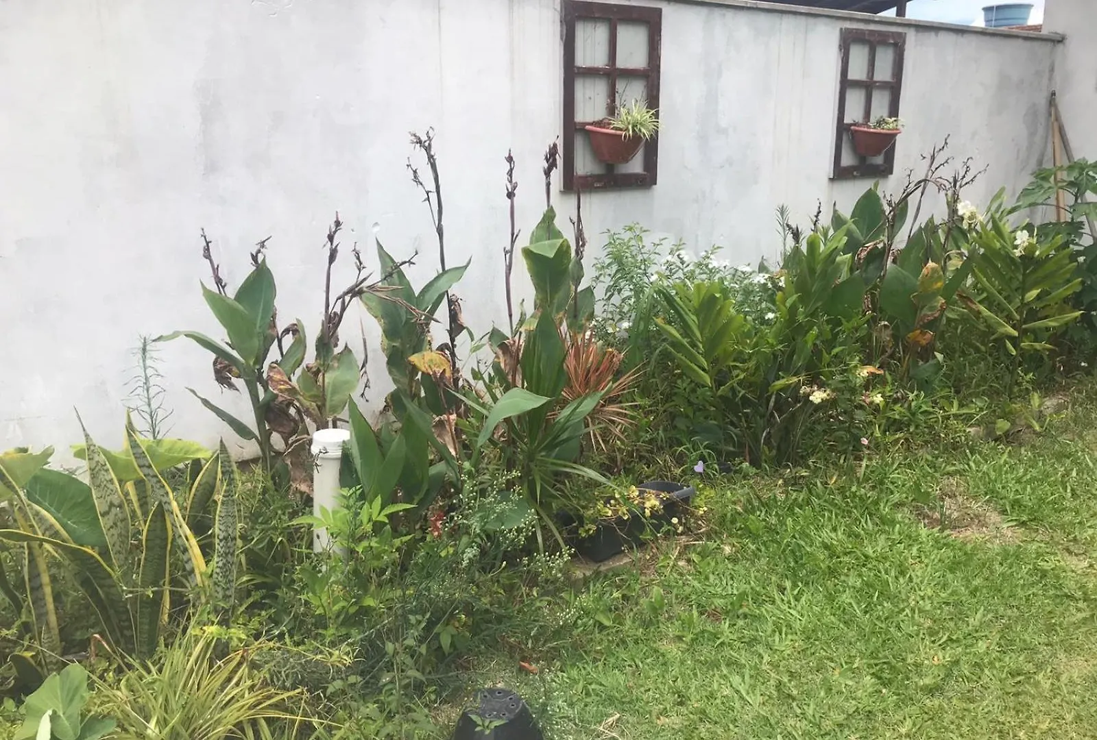 Casa Amarela Campeche 호텔 Florianópolis 0*,  브라질